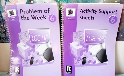 Numeracy focus year - focus, 6